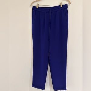 J.Crew Blue Pull-On Tapered Pants Women’s 2